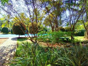 EtagamaHotel Water Nest的公园里长着长凳,树木和草地