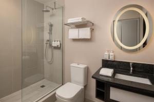 约翰内斯堡Holiday Inn - Johannesburg Sunnyside Park, an IHG Hotel的带淋浴、卫生间和盥洗盆的浴室