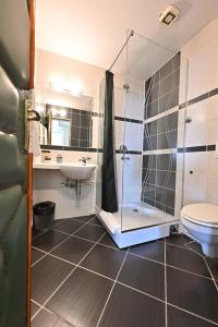 诺维萨德Sole Mio Wellness & SPA的带淋浴、卫生间和盥洗盆的浴室