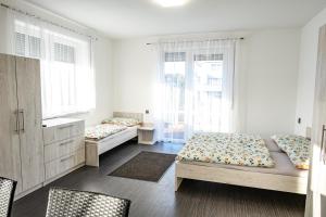 洪波莱茨Penzion Fann的一间卧室设有两张床和两个窗户。