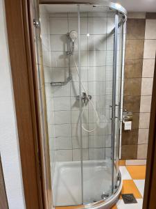 ŽirovnicaApartments Malivojevič的浴室里设有玻璃门淋浴