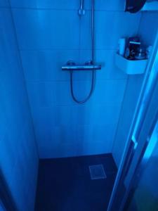 海牙La Maison Bleue - La Haye的带淋浴的浴室(带蓝色灯光)