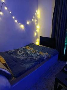 海牙La Maison Bleue - La Haye的一间卧室配有一张灯光床
