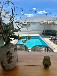 威廉斯塔德Villa Sol A Luna - Mambo Beach的桌子上摆着盆栽植物,桌子上摆着一个游泳池