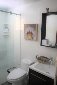 圣弗朗西斯科德马科里斯Apartamento Equipado, Wifi, AC, TV @drvacationsrental的一间带卫生间、水槽和镜子的浴室