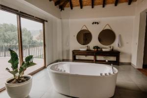萨奇卡Pietra Hotel的一间带大浴缸和盆栽的浴室