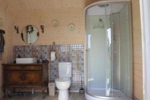 PriekuleDižozoli的浴室配有卫生间、淋浴和盥洗盆。