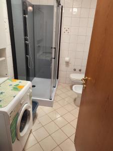瓦布里加Fortuna Apartment的一间带洗衣机和卫生间的浴室