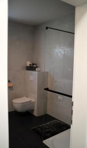 查科韦茨UrbanApartment5的一间带卫生间和玻璃淋浴间的浴室