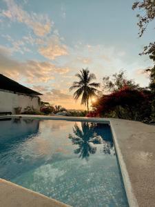 圣卡塔利娜岛Hotel Sol y Mar的一座棕榈树环绕的游泳池