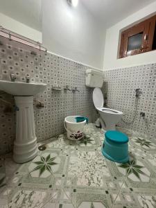 帕哈尔加姆Pine Brooke Pahalgam的一间带水槽和卫生间的浴室