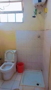 亚的斯亚贝巴Moji pension的一间带卫生间和浴缸的浴室以及窗户。