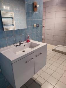 ZillingChambre Haut的浴室配有白色水槽和淋浴。