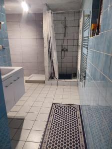 ZillingChambre Haut的带淋浴的浴室和瓷砖地板。