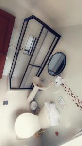 拉巴斯阿纳米精品酒店的享有带镜子和水槽的浴室的顶部景致