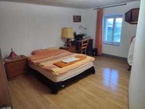 ZillingChambre Haut的一间卧室配有一张床、一张书桌和一个窗户。