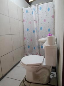 AltagraciaCocibolca House B&B的一间带卫生间和淋浴帘的浴室