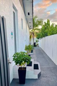 迈阿密Little Gables Studio-Your Miami Escape-10min Airport的建筑物旁人行道上一排盆栽植物