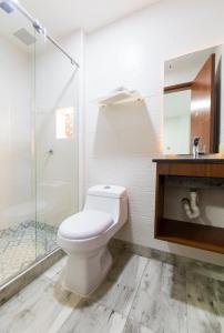 波哥大Hotel Casa botero 106的一间带卫生间和玻璃淋浴间的浴室
