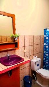 莫约加尔帕Casa Reyna的一间带水槽、卫生间和镜子的浴室