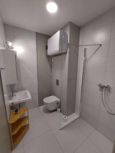 布尔诺Flat in Brno II apartmán v Brně的带淋浴、卫生间和盥洗盆的浴室