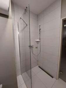 布尔诺Flat in Brno II apartmán v Brně的浴室里设有玻璃门淋浴