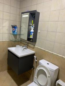 迪拜Ramble stay Hostel Bur Dubai的一间带卫生间、水槽和镜子的浴室