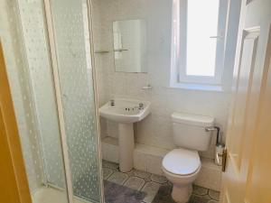 科芙Sea view Flat Cobh的浴室配有卫生间、盥洗盆和淋浴。