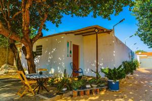 巴纳伊巴Chale c otima localizacao e Wi-Fi em Parnaiba PI的一间小白色房子,配有桌子和一棵树