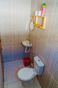 巴纳伊巴Incrivel chale c WiFi e boa localizacao - Parnaiba的一间带卫生间和水槽的小浴室