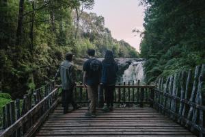 卡斯特鲁Lodge Parque Tepuhueico的三人在瀑布上的桥上行走