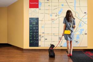 泰勒TownePlace Suites by Marriott Detroit Taylor的一位在地图前行走狗的女人