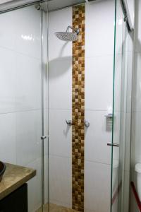 波哥大Hotel Casa Botero 302的浴室里设有玻璃门淋浴