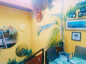 伊基托斯斯泰勒斯酒店的墙上涂有棕榈树的房间