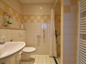 泽伊德沃尔德Vrijzicht的带淋浴、卫生间和盥洗盆的浴室