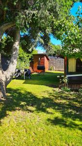 圣卡洛斯-德巴里洛切Entre montañas的一个带野餐桌和一棵树的院子