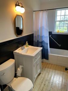 MansonvilleLe Highwater - Cabin的浴室配有卫生间、盥洗盆和浴缸。