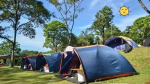 武吉丁宜Tapian Asri Camp的树木林立的帐篷
