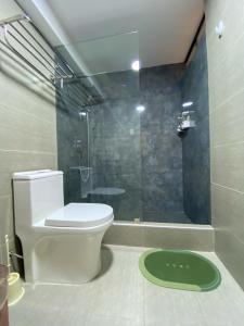 瓦拉斯Huallata Hotel Boutique的浴室配有白色卫生间和淋浴。