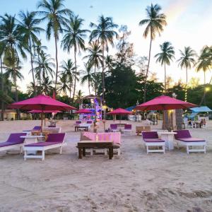 亭可马里French garden Pragash Beach Hotel的一片拥有紫色和白色椅子及棕榈树的海滩