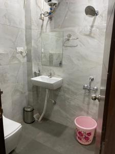 瓜廖尔AMALTAAS HOMESTAY的一间带水槽和镜子的浴室