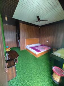 PhataHotel Green View Inn的一间卧室配有一张床,铺有绿色地毯