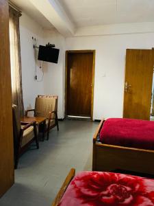 亚的斯亚贝巴Goza Guest House 22的客房设有带一张床和电视的卧室。