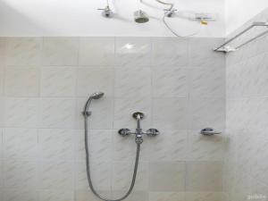 迪马普尔Hotel Elegant的浴室内带软管的淋浴