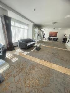 克拉约瓦派克酒店的带沙发和地毯的客厅