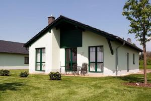 马克莱贝格Holiday home in Markkleeberg near a lake的绿色和白色的小房子