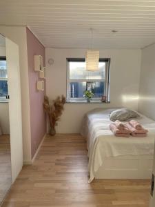 AugustenborgVærelser i Fynshav的一间卧室配有一张粉红色的墙壁和窗户。