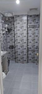 爱妮岛CarandangFam Inn的一间带卫生间和瓷砖墙的浴室
