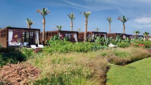 贝鲁特贝鲁特萨默兰凯宾斯基度假酒店的一组以棕榈树为背景的模块化房屋