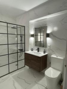 阿桂拉斯Casa La Vuelta的一间带卫生间、水槽和镜子的浴室